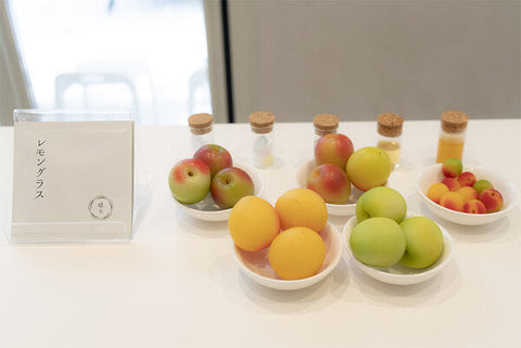 【テスト】CHOYA shops 株式会社さま