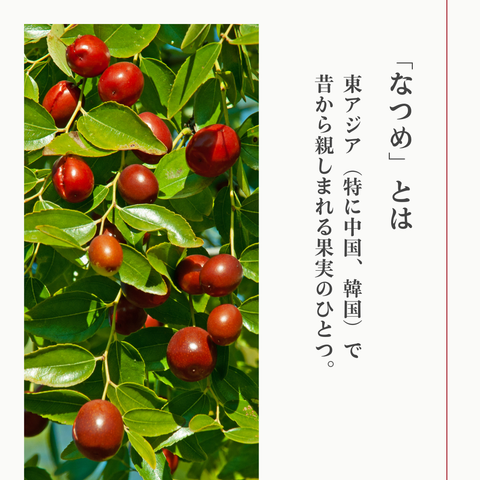 なつめのおやつ なつめチップス