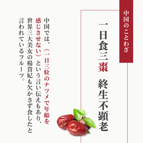 なつめのおやつ なつめチップス