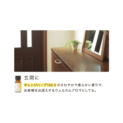 空間消臭アロマ オレンジハーブ100.0 – 生活の木ビジネススマート 空間消臭アロマ オレンジハーブ100.0 – 生活の木ビジネススマート