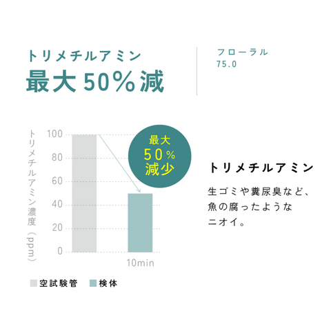 空間消臭アロマ フローラル75.0　