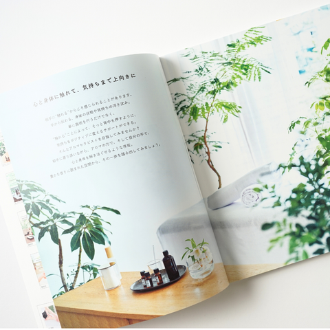 AEAJアロマセラピスト公式テキスト<2024年改訂版> – 生活の木 AEAJアロマセラピスト公式テキスト<2024年改訂版> – 生活の木