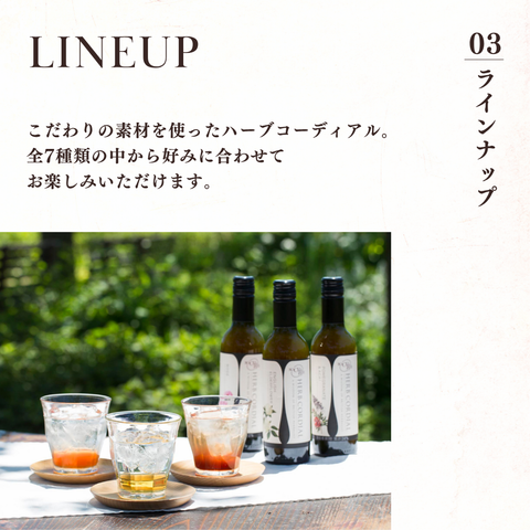 ハーブコーディアル 有機アップルジンジャー/Organic Apple Ginger 360ml