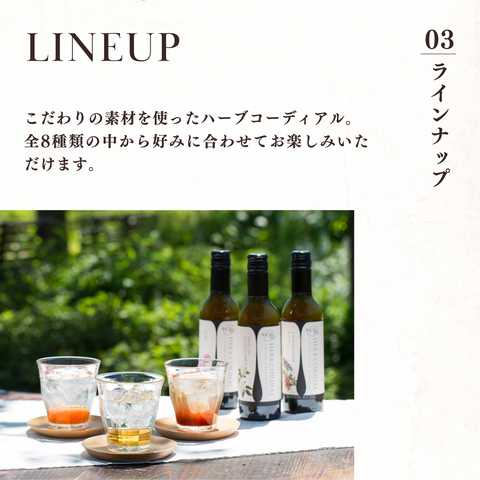 ハーブコーディアル 有機クラシックジンジャー/Organic Classic ginger 360ml